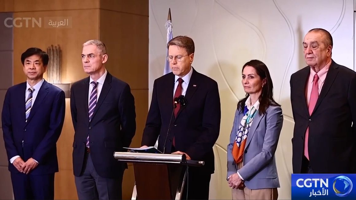 وفد من مجلس الأمن الدولي يزور لبنان ويؤكد التزامه بالتنفيذ الكامل للقرار 1701