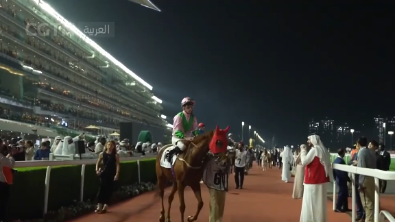 النسخة الـ30 لكأس دبي العالمي للخيول تقام في موعدها المحدد
