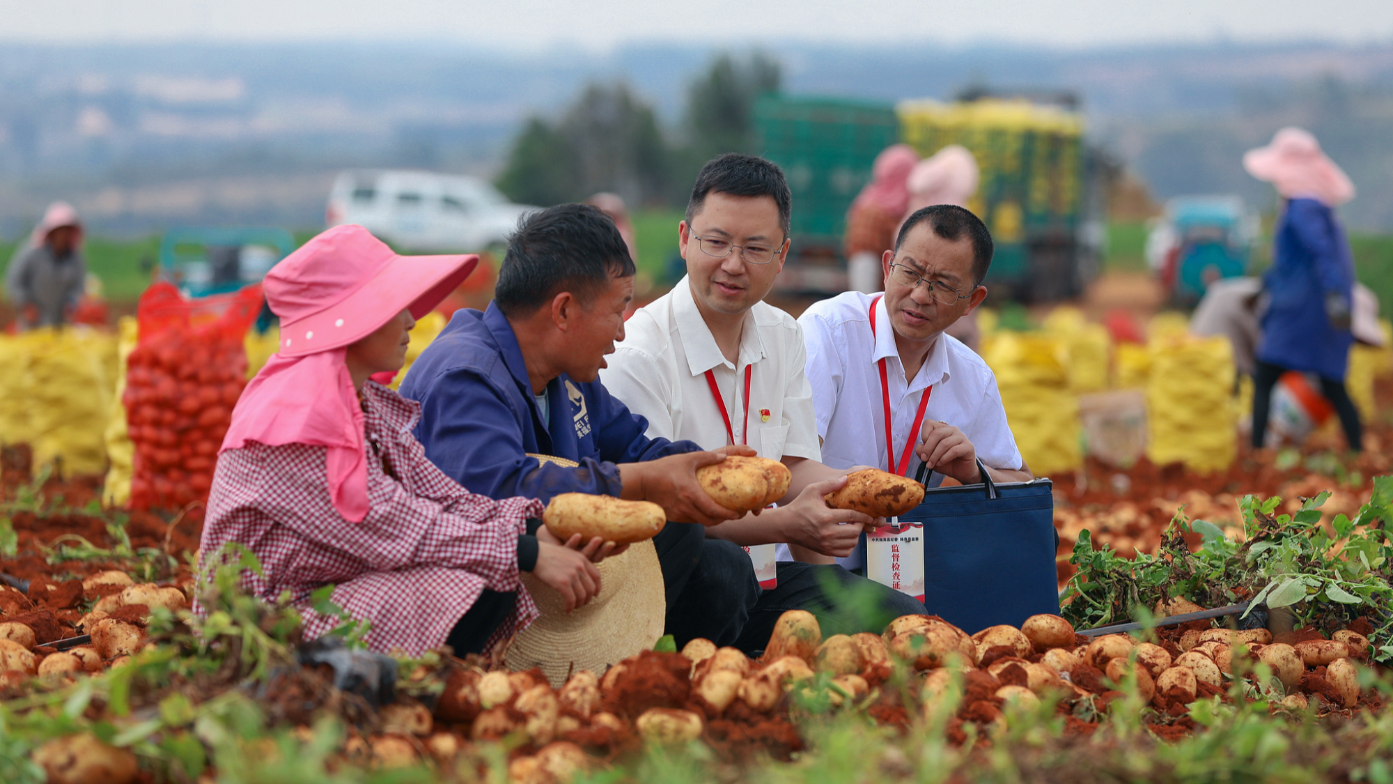 نشر مقال الرئيس الصيني بشأن الفهم الصحيح للأداء السياسي 