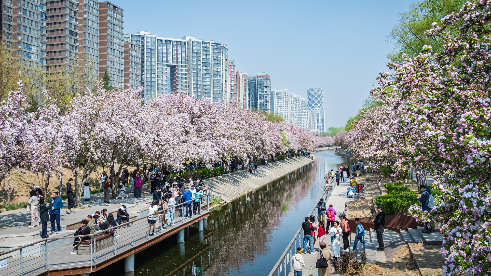 عطلة عيد تشينغمينغ وعطلة الربيع المدرسية معا ترفعان موجة السفر في الصين 